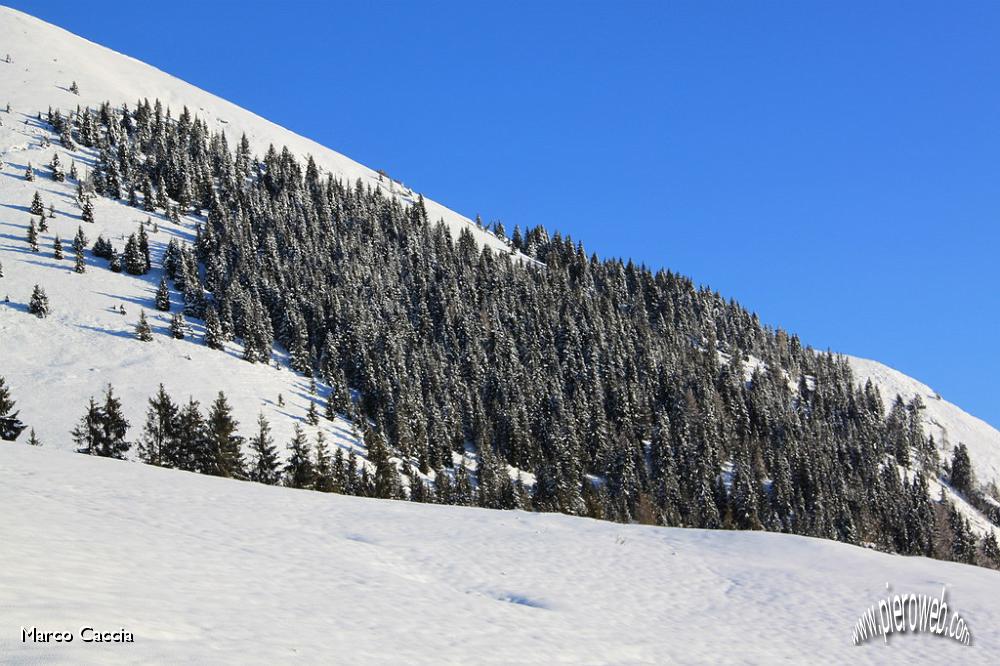 10_La neve resuiste sugli alberi.JPG